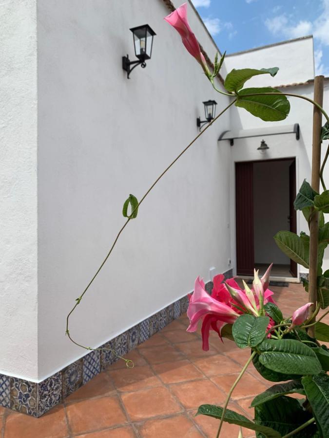 Villa Giuseppina Terracina Ngoại thất bức ảnh